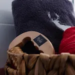 Apartment Regenbogen Mit Indoorrutschbahn