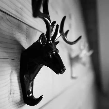 Regenbogen Mit Indoorrutschbahn Apartamento *